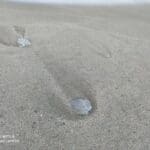 IMG-20220221-WA0009