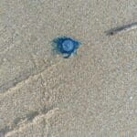 IMG-20220221-WA0012