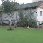 haipo-news-of-haifa-carmelia-210222