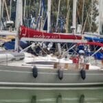 יאכטה של תיירים ראשונים שהגיעו מהולנד לאחר סגר קורונה של שנתיים (צילום: שייטי הכרמל)