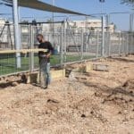 haipo news of haifa dogs 010322 (1)