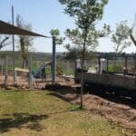 haipo news of haifa dogs 010322 (2)