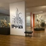 haipo news of haifa museum 300322 (9)