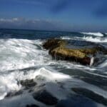 haipo news of haifa sea 010322 (2)
