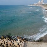 haipo news of haifa sea 010322 (22)