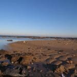 haipo news of haifa sea 010322 (3)