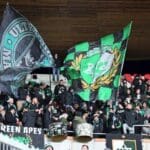 haipo news of haifa sports 221121 (7)