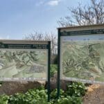 haipo news of haifa turmus (5)
