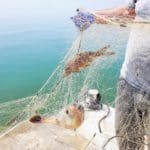 jaipo news of haifa fishing 310322 (3)