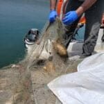 jaipo news of haifa fishing 310322 (4)
