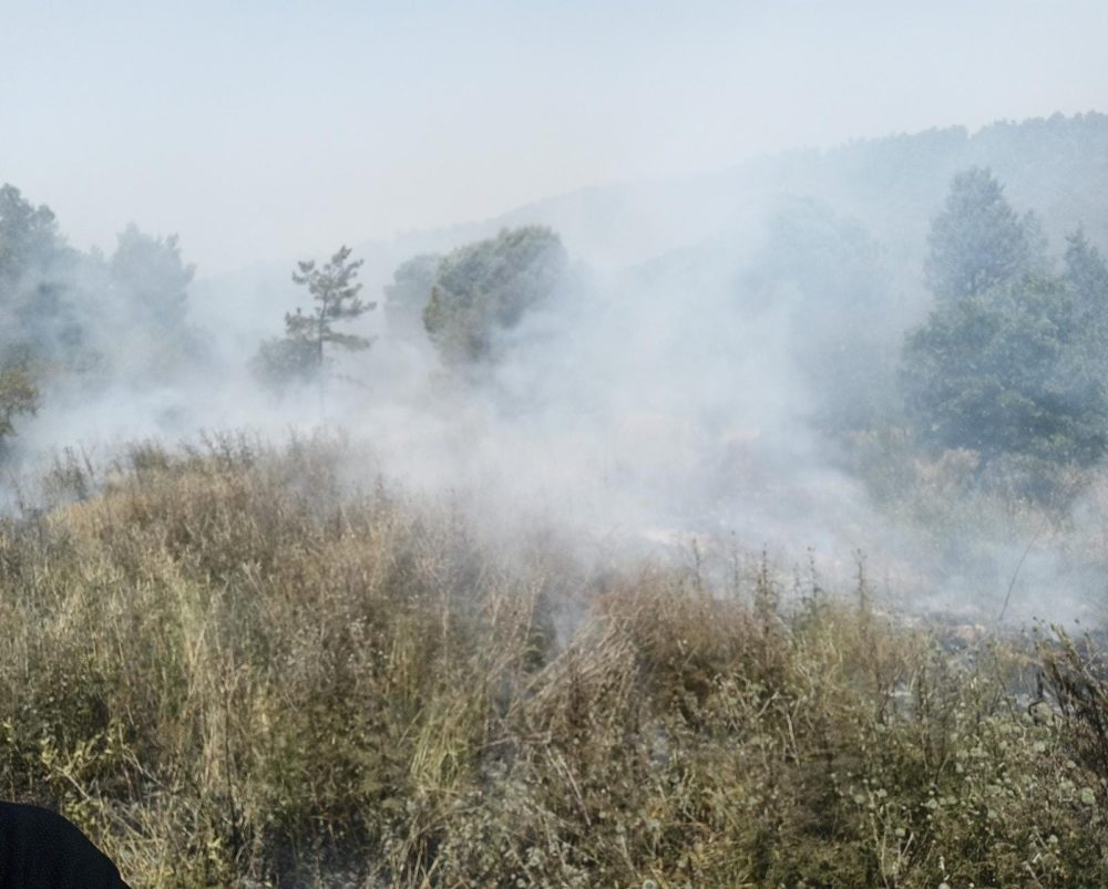 שרפה בדרום הכרמל (צילום: כבאות והצלה)