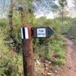 haipo news of haifa escape 280422 (4)