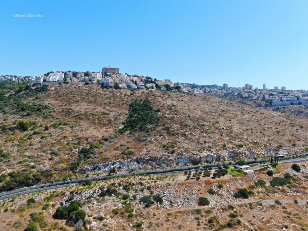 חיפה • מורדות לינקולן ומאחוריהן בית חולים כרמל (צילום רחפן: מרום בן אריה)