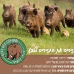 Haipo-news-border-control-wild-boars-230522-793×1000אא