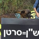 המחאה מול מכלי הדלק של תש"ן (צילום: עליזה ברקן)
