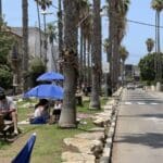 חיפה – שדרות בת גלים (צילום: ירון כרמי)