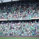 haipo news of haifa football 010522 (1)