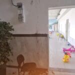 בית ספר בחיפה מפונה כעת בשל שריפה בארון חשמל (צילום: כבאות והצלה)