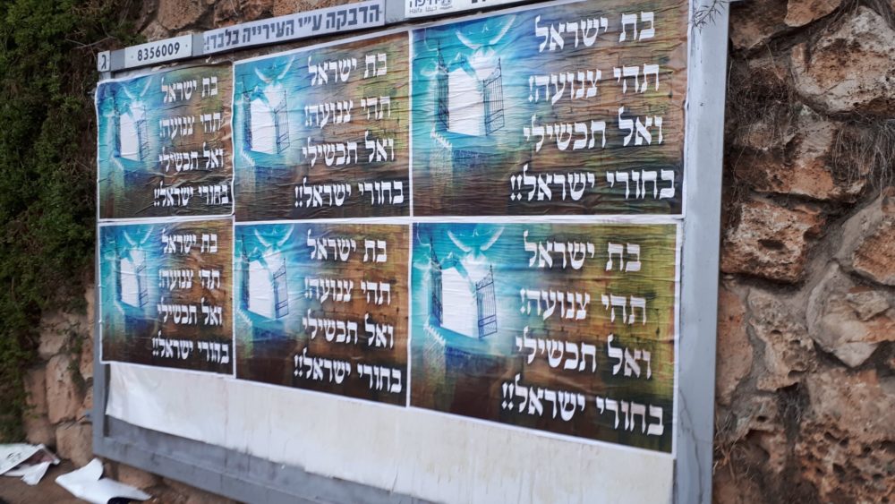 בת ישראל היי צנועה - השלטים שנתלו בשכונת אחוזה בחיפה (צילום: חי פה בשטח)