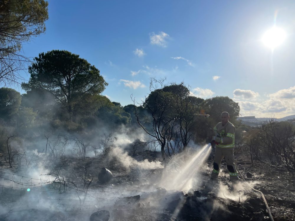 שרפת חורש בסמוך לדאליית אל כרמל (צילום: כבאות והצלה)