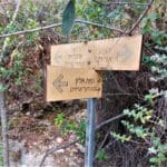 haipo news of haifa nature of the city 060722 (2)