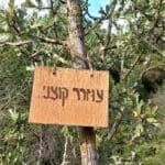 haipo news of haifa nature of the city 060722 (36)