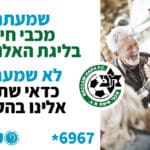 באנר שטיינר