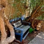 haipo news of haifa bar or 120822 (16)