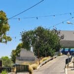 haipo news of haifa camal 190822 (19)