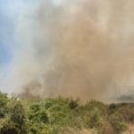 haipo news of haifa fire 110822 (2)