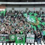 haipo news of haifa football 1 240822