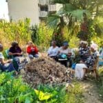 haipo news of haifa gardens 180822 (1)
