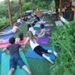 haipo news of haifa gardens 180822 (6)