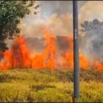 שריפה בשטח פתוח בקריית אתא (צילום: כבאות והצלה)