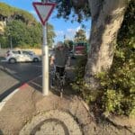 הרמזור שהוצב במרכז המדרכה – המסע של שריתה כהן בת ה-91, עם ההליכון, במדרכות חיפה (צילום: יונתן גרשון)