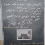 לזכרו של איתי דכנר • מפגש מחזור א׳, בית ספר ״נופים״ בחיפה (צילום: חנה מורג)