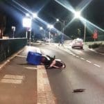 תאונות דרכים עם חזירי בר (צילום :איחוד הצלה)