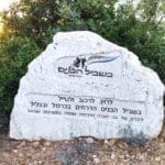 בשביל הבנים (צילום: ענבל חן ברגב)