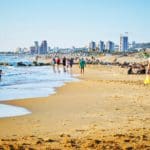 haipo news of haifa beach 160922 (4)