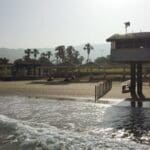 haipo news of haifa camel dado beach 220922 (1)