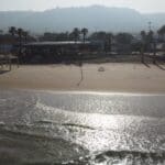 haipo news of haifa camel dado beach 220922 (2)