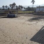 haipo news of haifa camel dado beach 220922 (4)