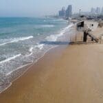 haipo news of haifa camel dado beach 220922 (5)