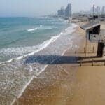 haipo news of haifa camel dado beach 220922 (6)