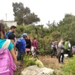 haipo news of haifa nature city 280922 (4)