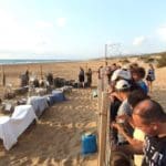 haipo news of haifa turtles 010922 (3)