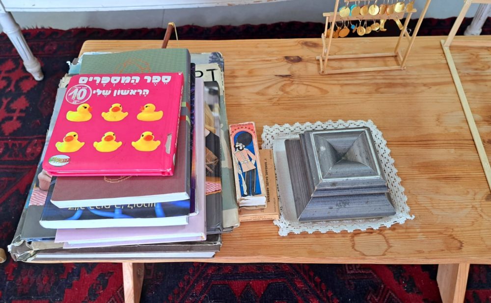 ספרים והגות בבית מינה בן נון (צילום: רחלי אורבך)