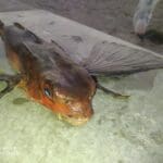 IMG-20221020-WA0054