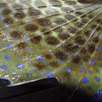 IMG-20221020-WA0058