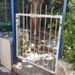 שער – כניסה – גינה (צילום: חי פה בשטח)